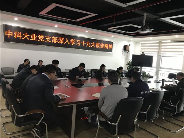 深入学习十九大报告精神